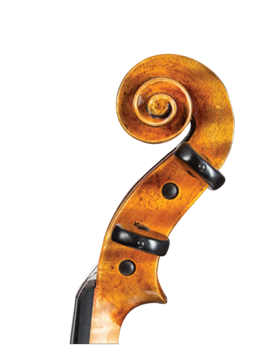 D Z Strad Violin- Model 509 (One-Piece Back)- 'Maestro' Old Spruce Stradi Powerful Tone Antique Varnish Violin Outfit