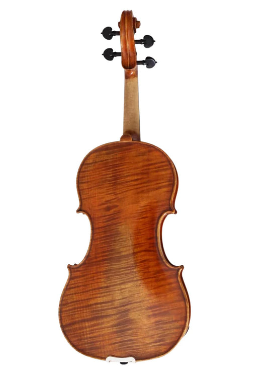 D Z Strad Violin - Model 1,100 - Full Size Violin Outfit