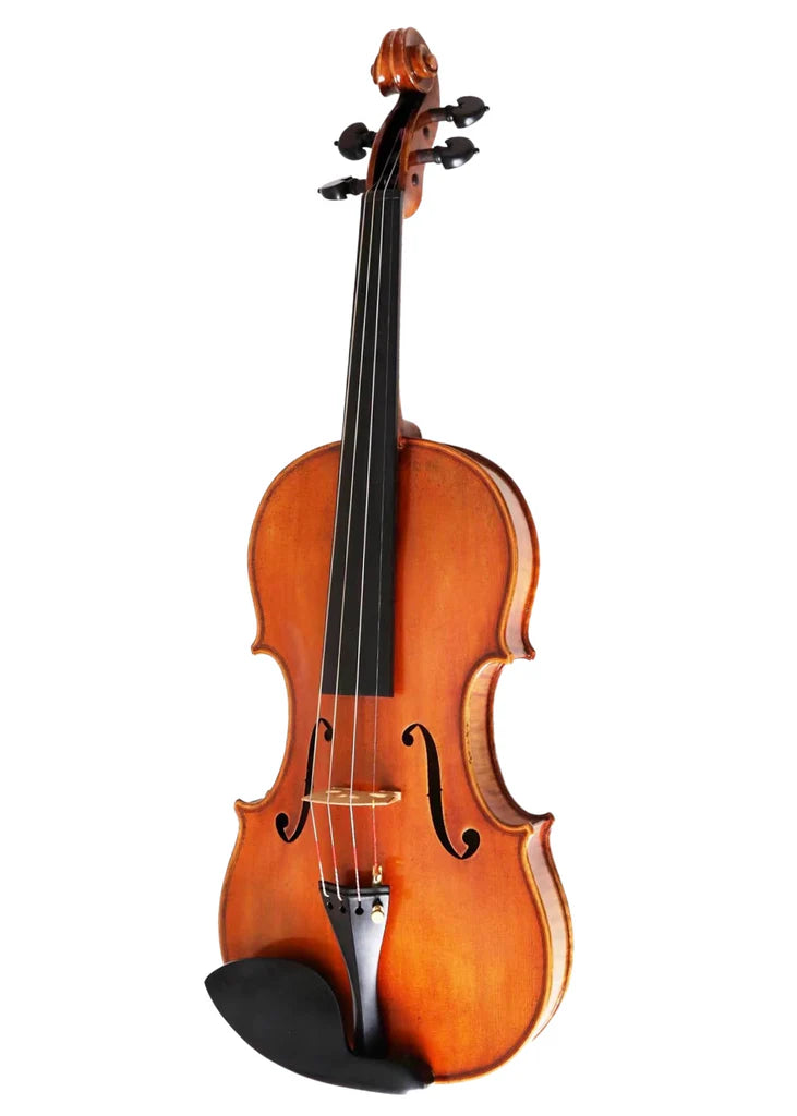 D Z Strad Violin - Model 1,100 - Full Size Violin Outfit