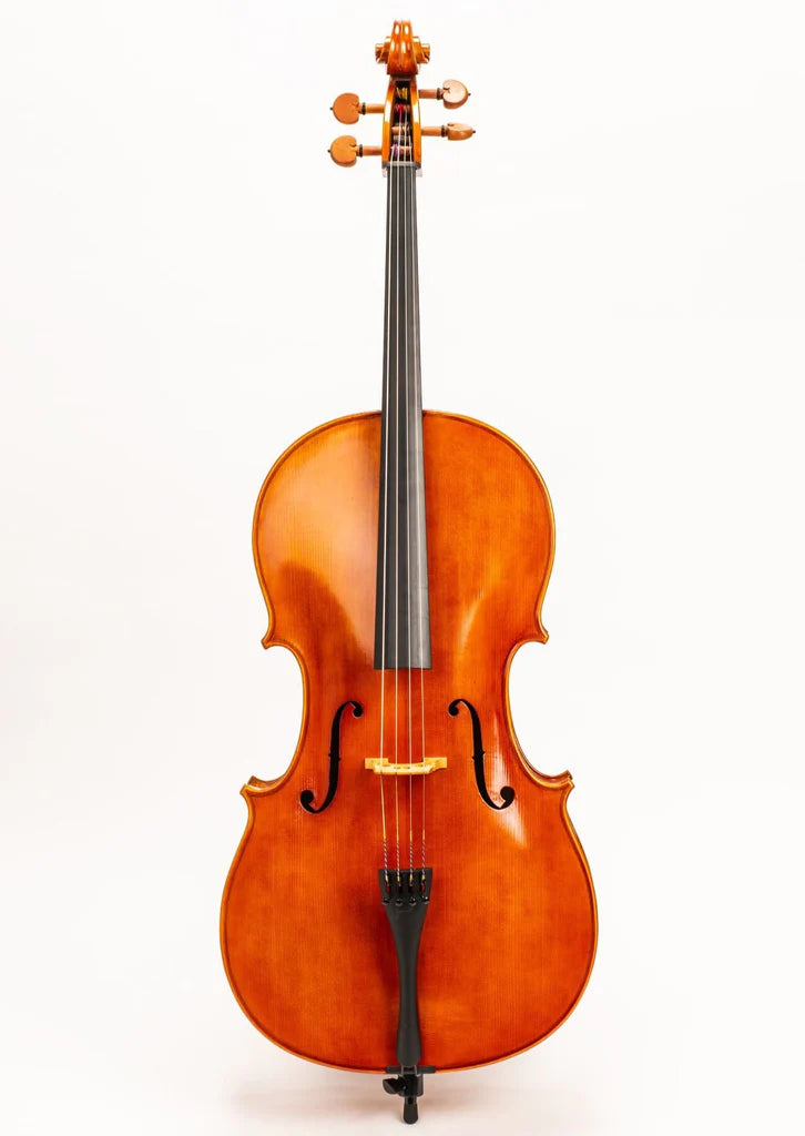 D Z Strad Cello - Model 250 - Cello Outfit w/ Case & Bows (1/8-4/4)