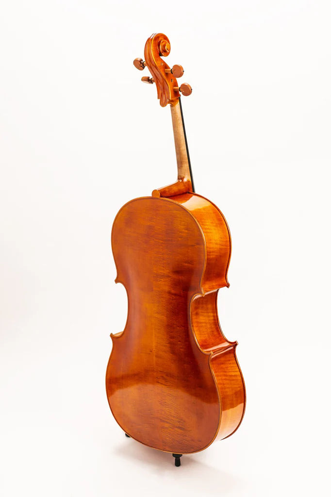 D Z Strad Cello - Model 250 - Cello Outfit w/ Case & Bows (1/8-4/4)