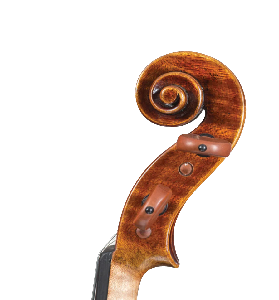D Z Strad Viola - Model 500 - Viola Outfit Handmade by Prize Winning Luthiers