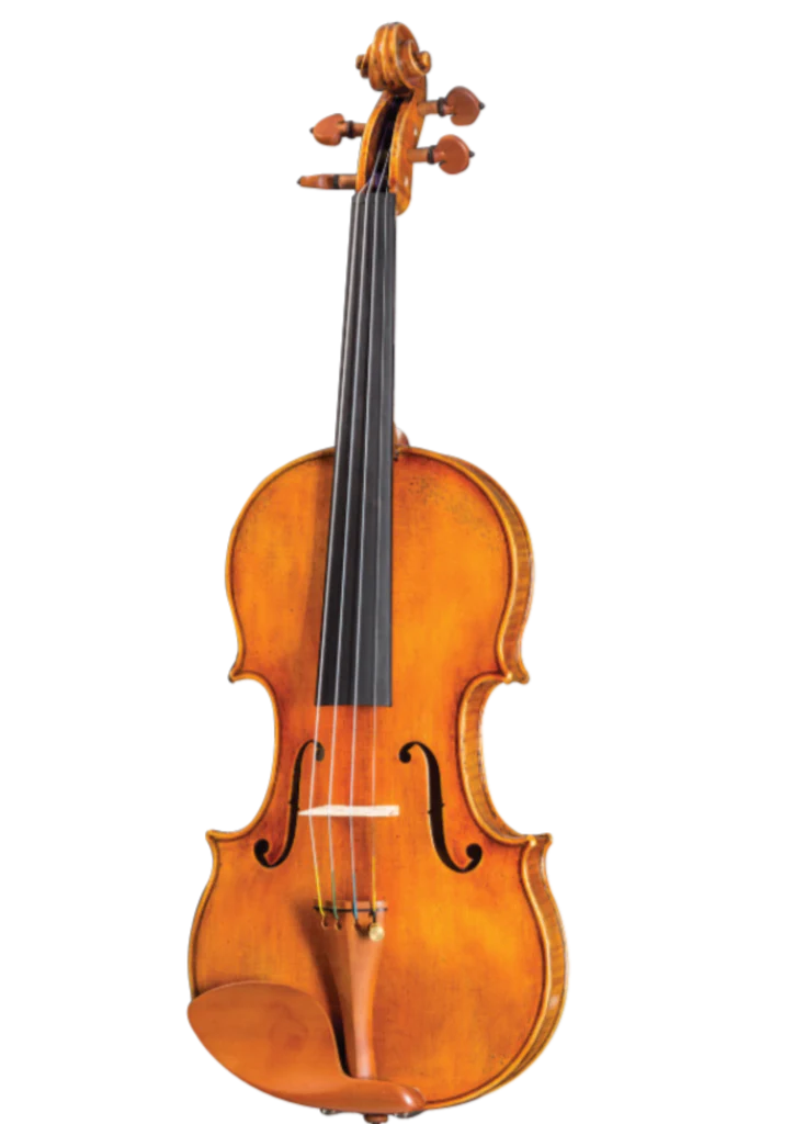 D Z Strad Violin - Model 800 - Handmade Violin Outfit (Full Size - 4/4)