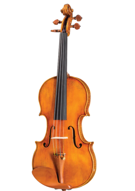 D Z Strad Viola - Model 800 - Viola Outfit w/ BAM Case and Two Bows