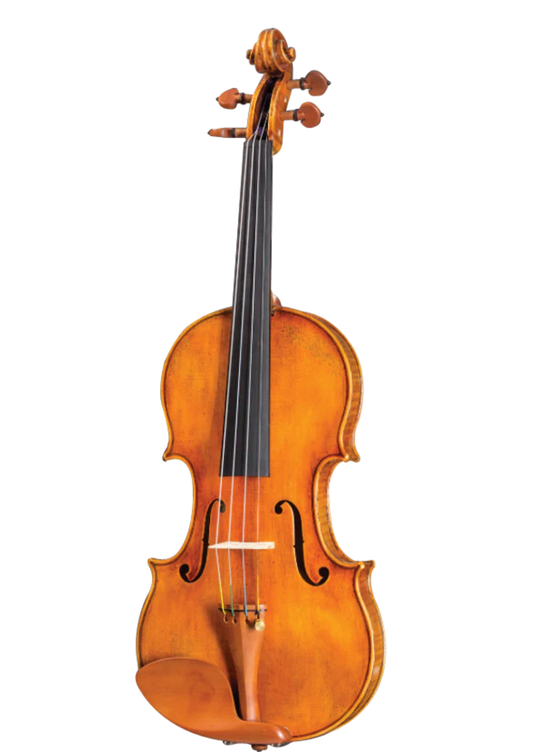 D Z Strad Viola - Model 600 - Handmade Viola Outfit
