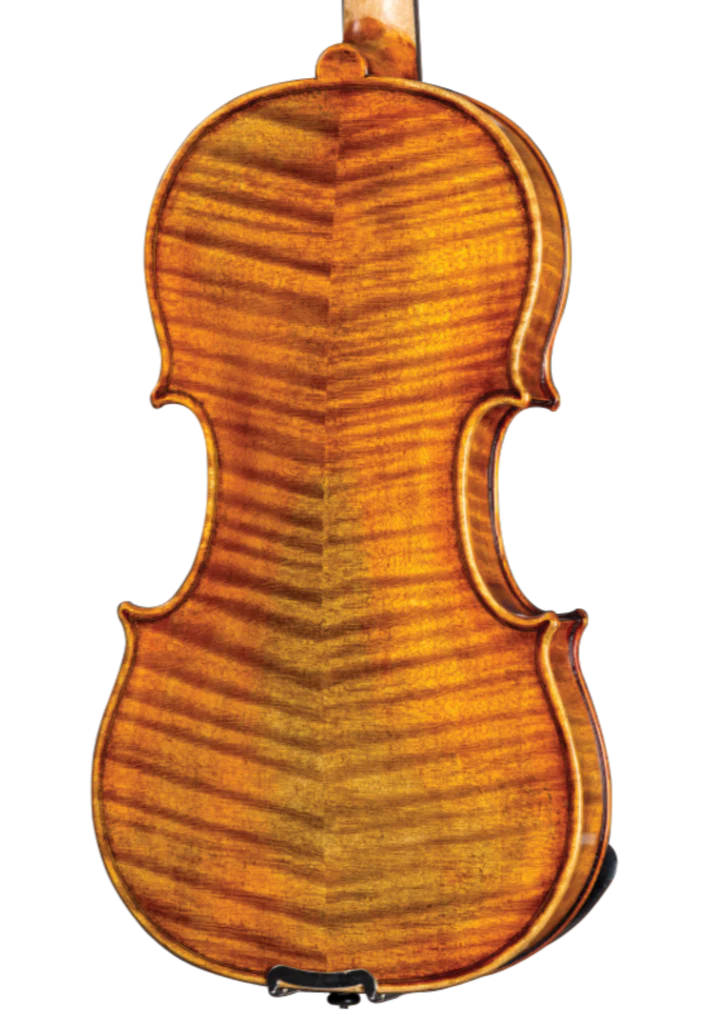 D Z Strad Viola - Model 800 - Viola Outfit w/ BAM Case and Two Bows