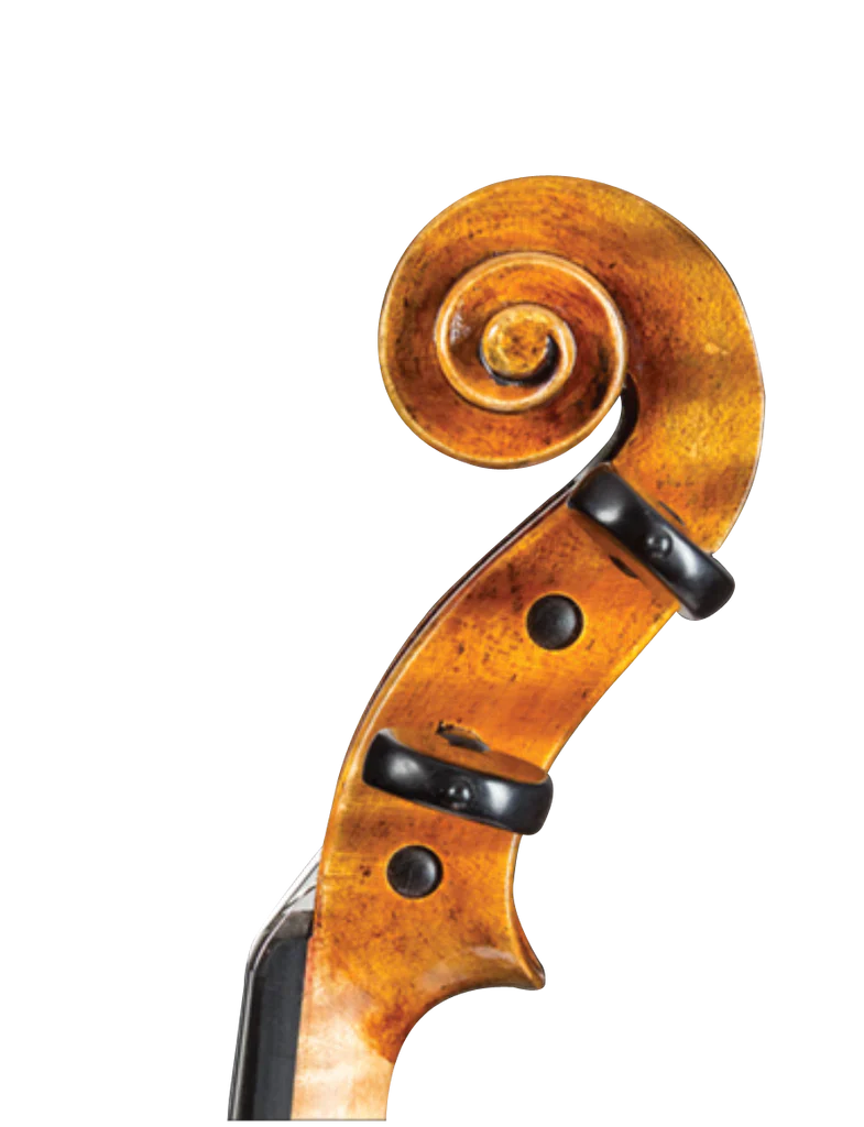 D Z Strad Violin- Model 509 (One-Piece Back)- 'Maestro' Old Spruce Stradi Powerful Tone Antique Varnish Violin Outfit