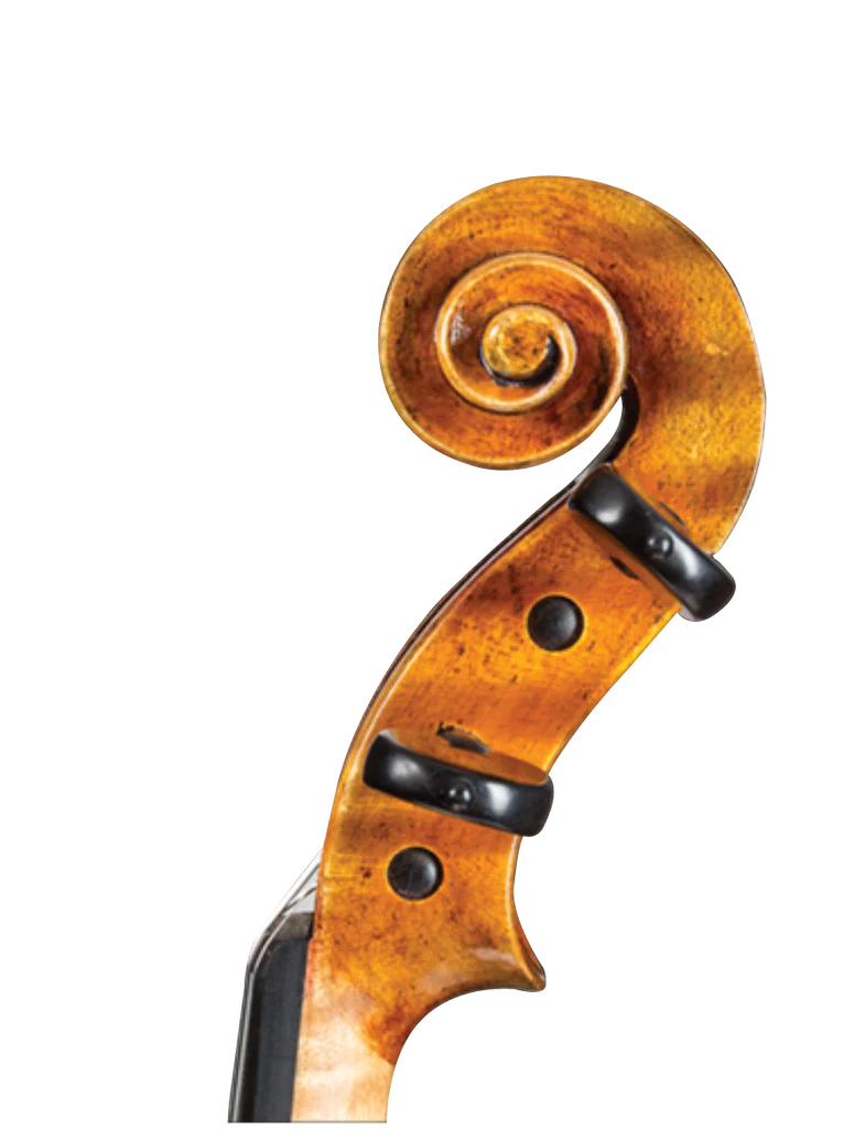 D Z Strad Violin- Model 509 - 'Maestro' Old Spruce Stradi Powerful Tone Antique Varnish Violin Outfit
