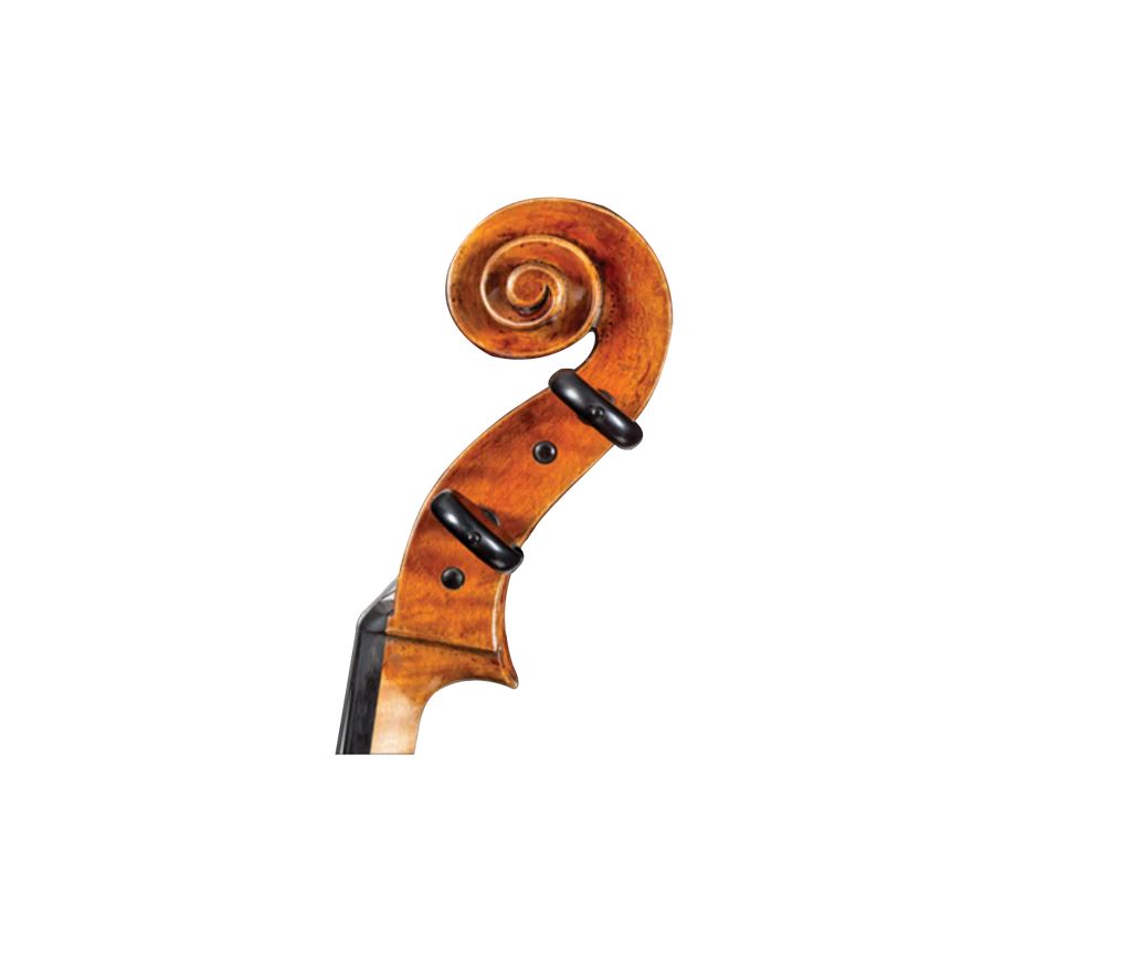 D Z Strad Cello - Model 700 - Cello Outfit w/ Case & Bow (1/2-4/4)