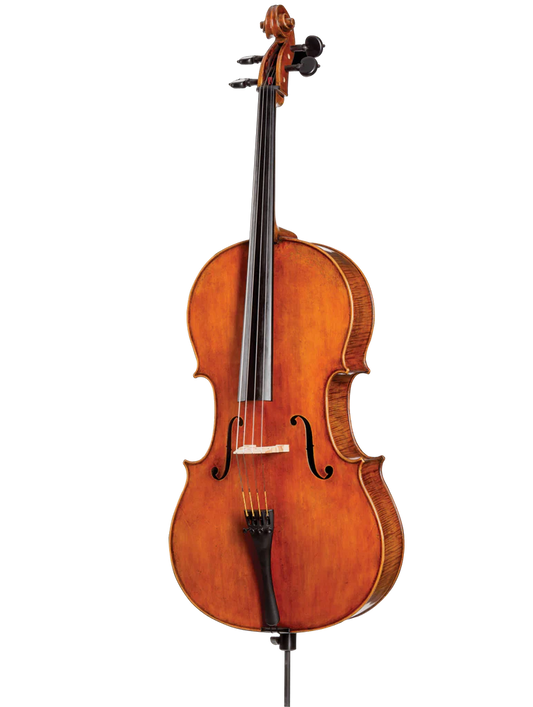 D Z Strad Cello - Model 900 - Handmade Cello Outfit (4/4)