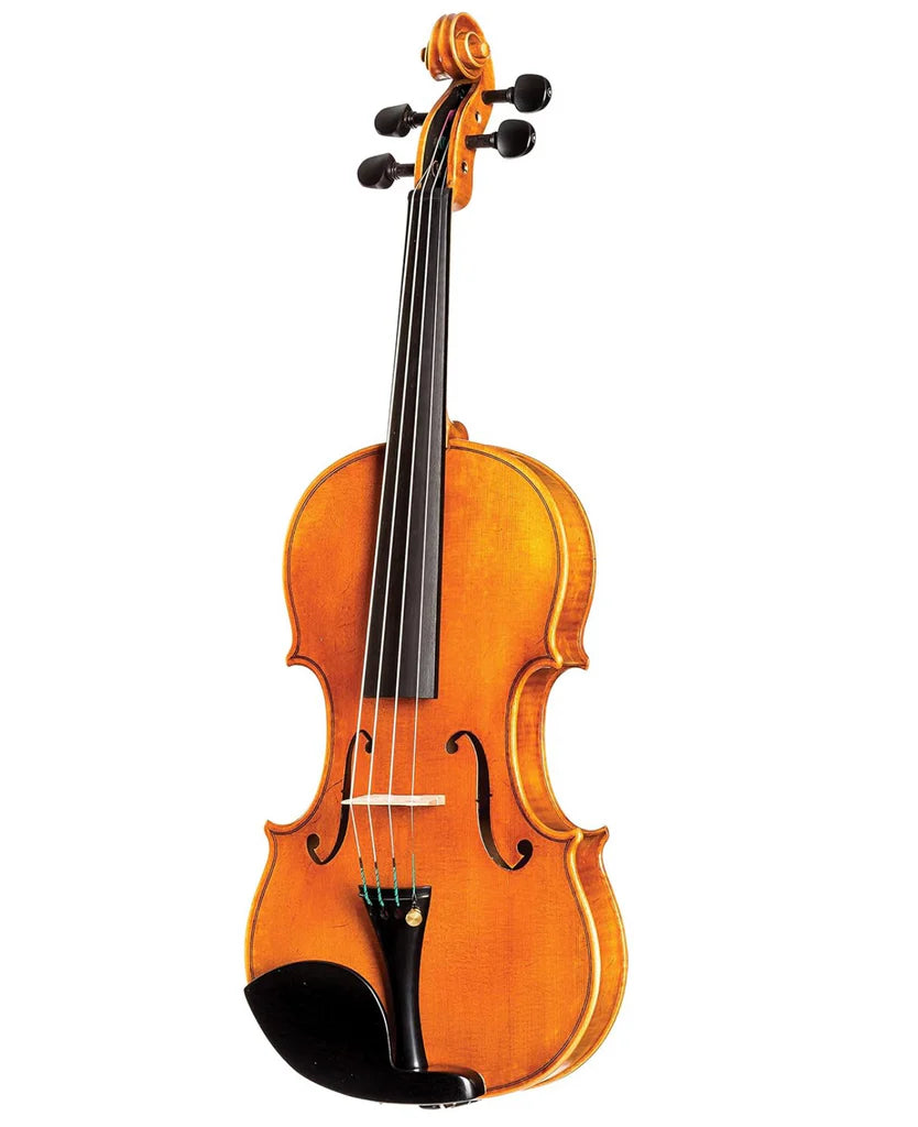 D Z Strad Violin - Model 250 - Carved Top Violin with Outfit